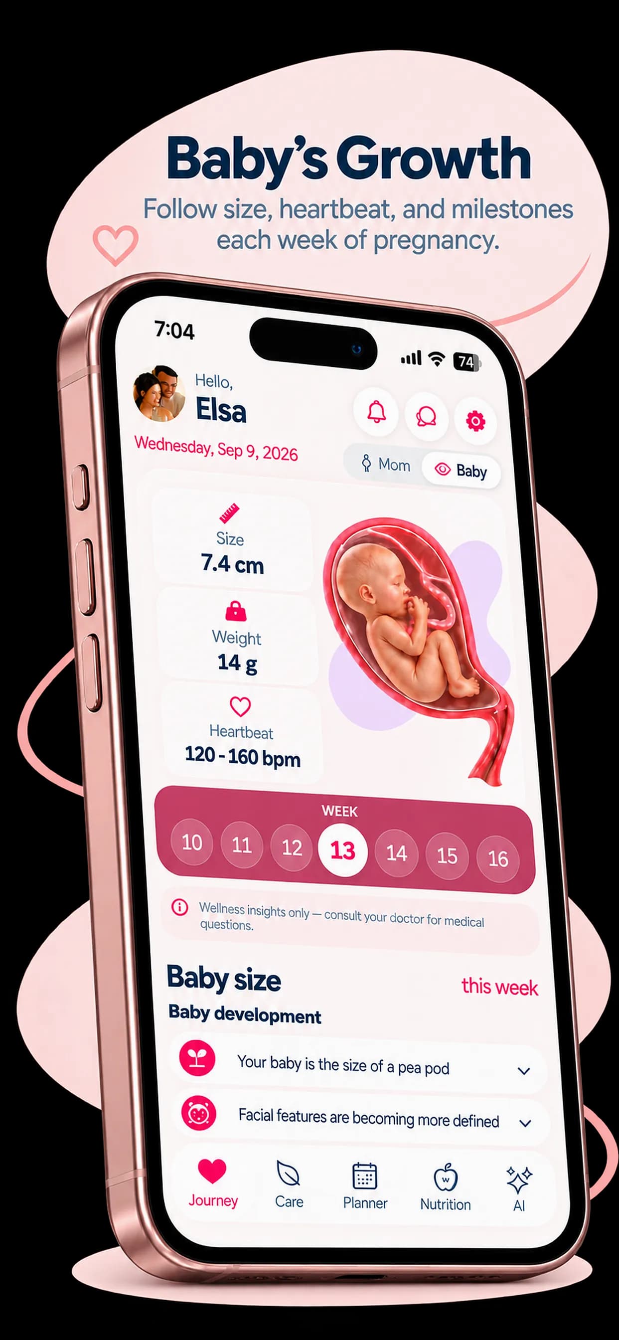 Pregnants Baby tab showing baby size at 7.4 cm, weight 14 g, heartbeat range 120–160 bpm, and developmental milestones for week 13.