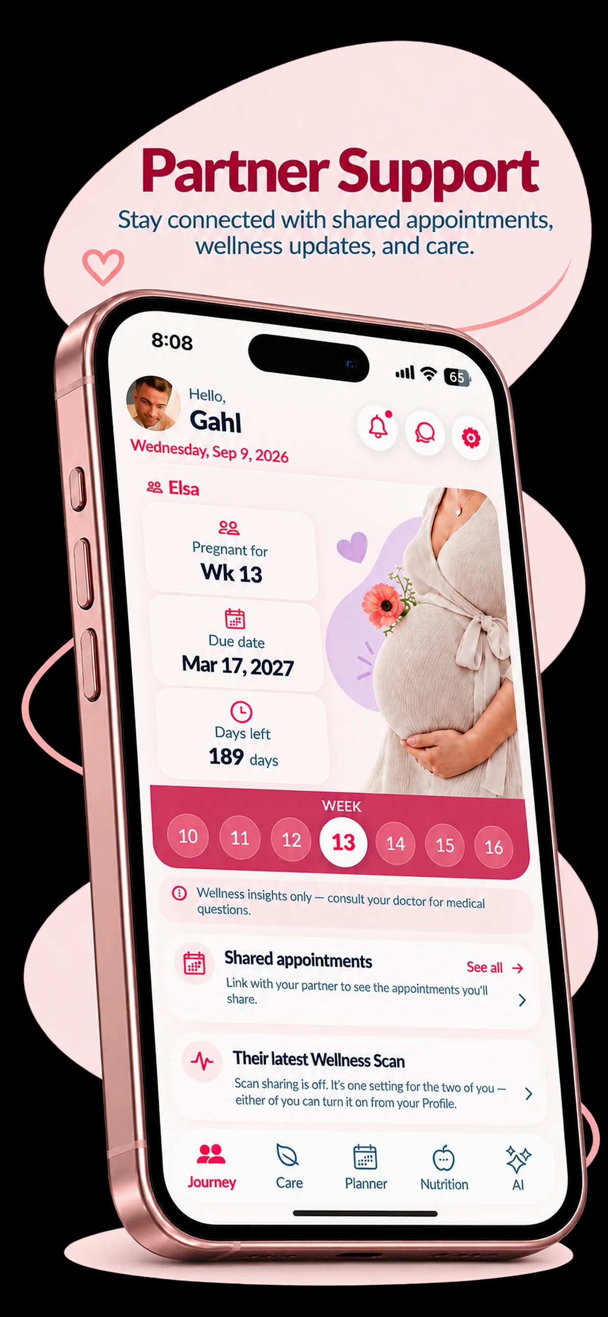 Pregnants Partner Journey tab showing linked partner Elsa at week 13, due date, 189 days left, shared appointments, and latest Wellness Scan status.